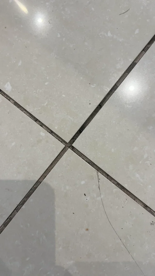 fissure carrelage
