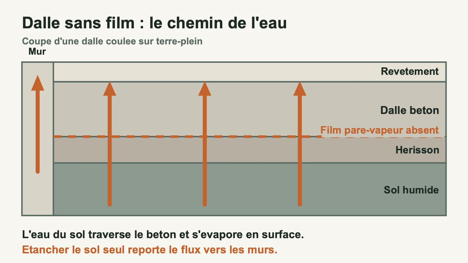 Coupe d'une dalle sur terre-plein sans film pare-vapeur montrant la montée de l'eau et son report vers le mur